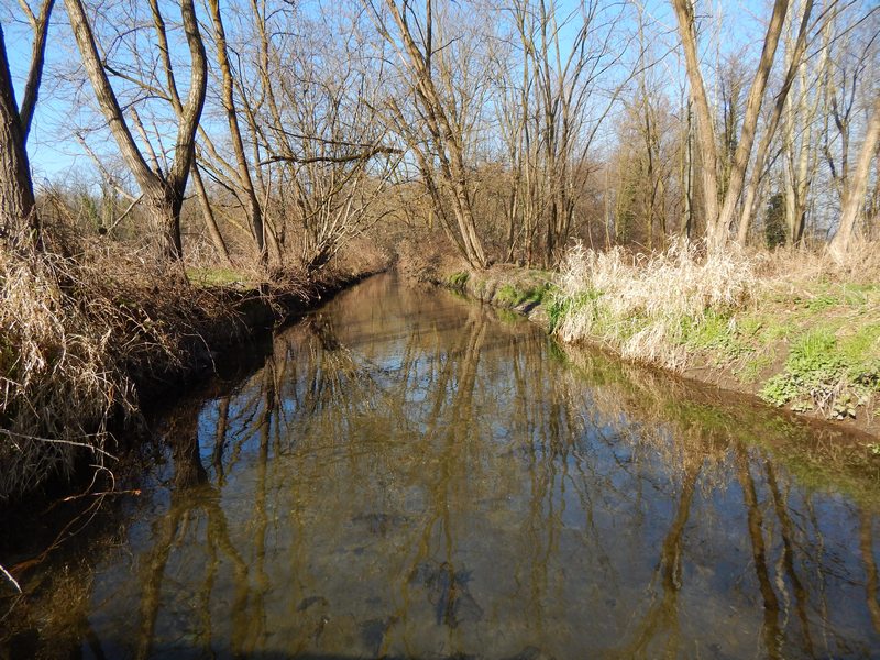 23.02.14 Parco del Ticino